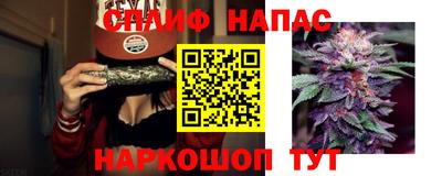 прущие крисы Будённовск