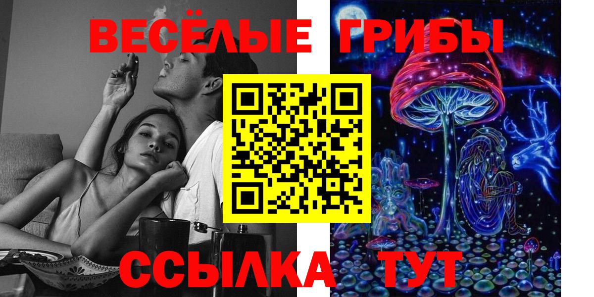 Пушкино  Галлюциногенные грибы Cubensis  Вход с VPN 